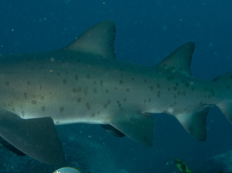 4f4c66af-8d85-4970-aa81-ff7ce6a81102