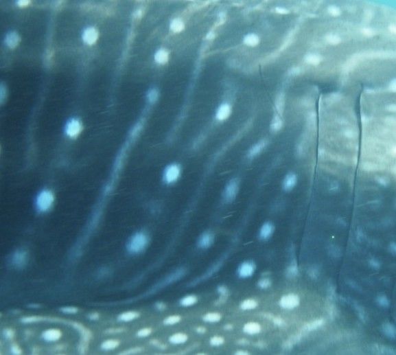 5fb0c540-abf3-479c-812f-b5a71fbca4c6