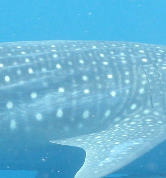 3c96d987-a85b-48c4-92bb-c40b2461701a