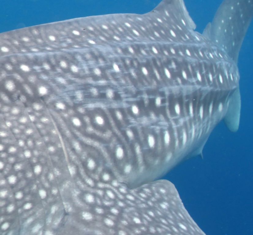 3c96d987-a85b-48c4-92bb-c40b2461701a