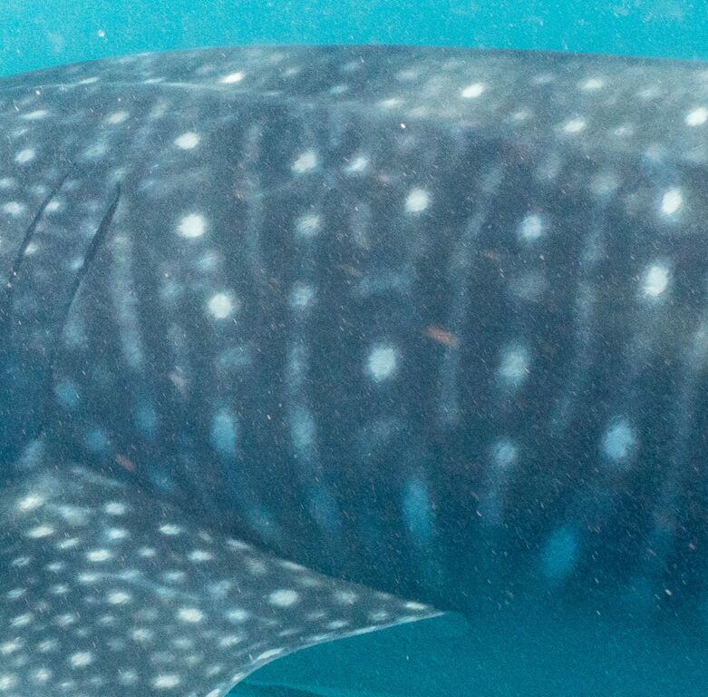 0aad58bf-edc3-42ce-800a-8dc92eb12242