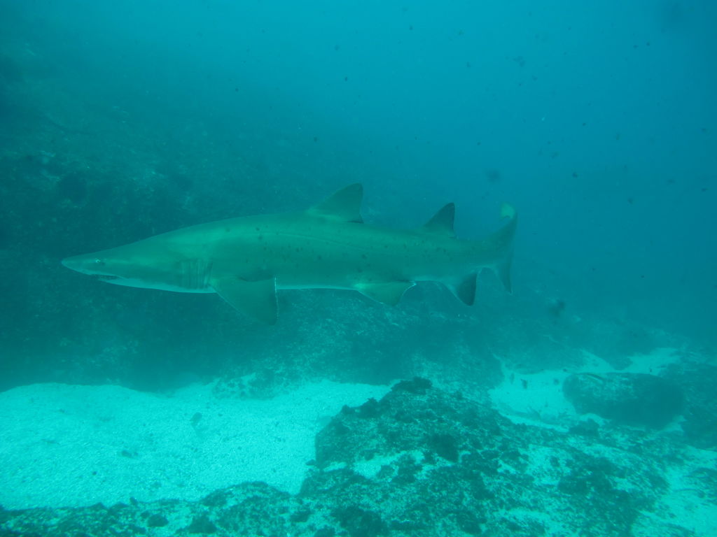 9502a086-3f19-4a5f-8678-ad41577c76e0