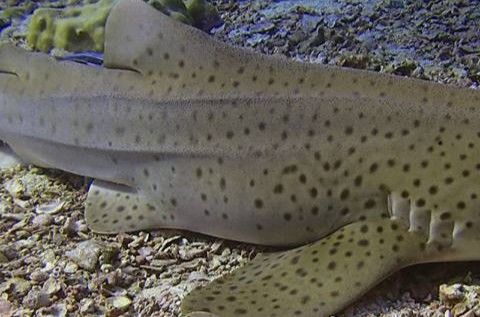 4c031ae7-0fb2-4e8b-87ab-553b5151b02c