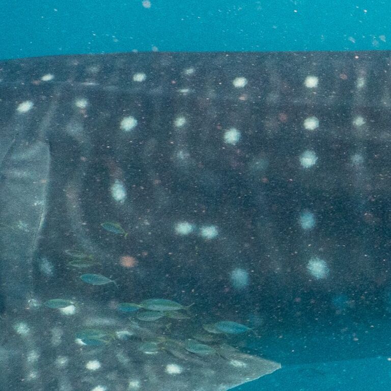 dacd1437-c6bb-4111-a9d9-69bb7449f24e