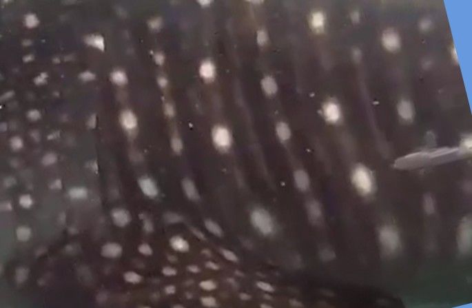 29e1a72b-5a9b-4859-9785-821edf4c89cc