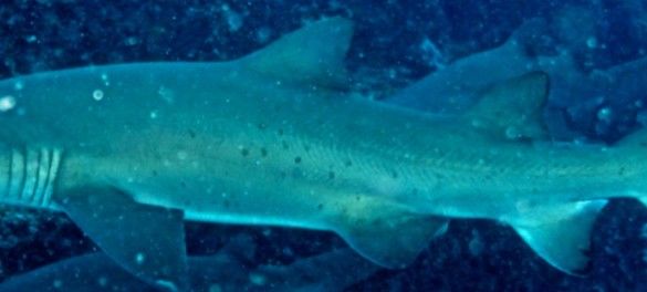 e5988c6f-86e6-405f-b951-07277ebc93f1