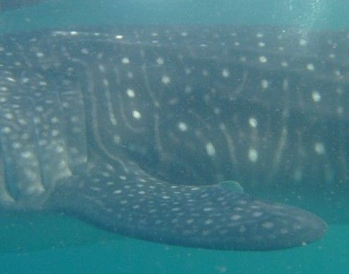 81e5a9fe-acc3-497b-aa46-c82b14e43f7f