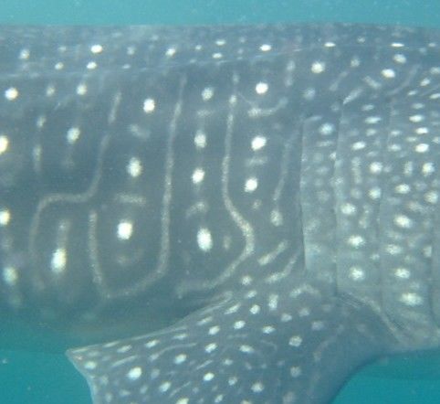 81e5a9fe-acc3-497b-aa46-c82b14e43f7f