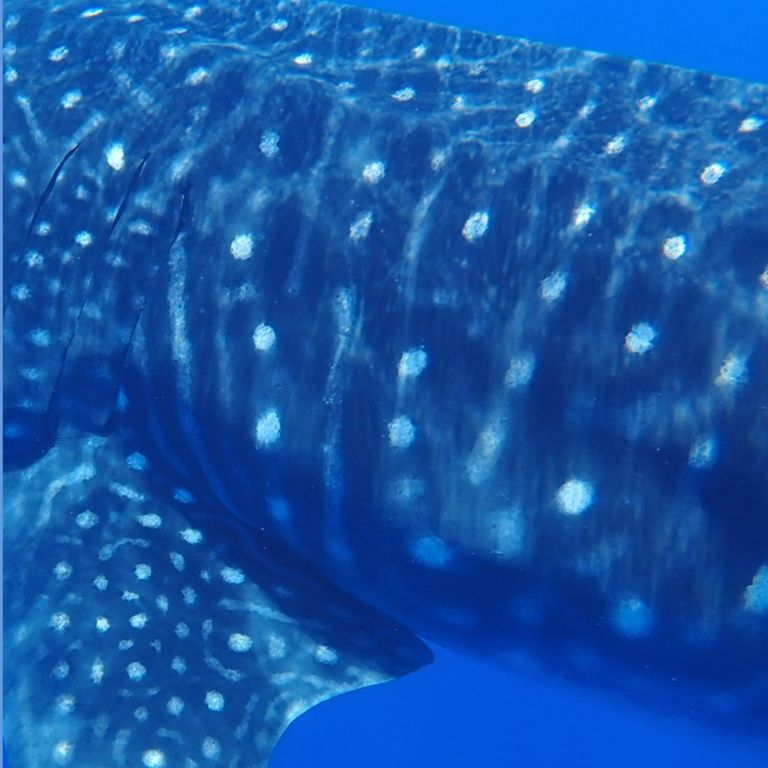 7bc430a7-331e-40f2-8f3b-25f41c65f59c