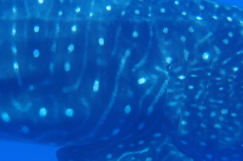 7bc430a7-331e-40f2-8f3b-25f41c65f59c