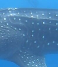 aef91695-027a-4cd2-a5e8-64f43f37627e