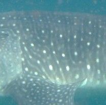 af07891b-9d7b-49b5-bb47-c980fe55f366