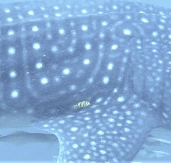 33a4ef57-746f-4b0b-8b87-152ca6f17873