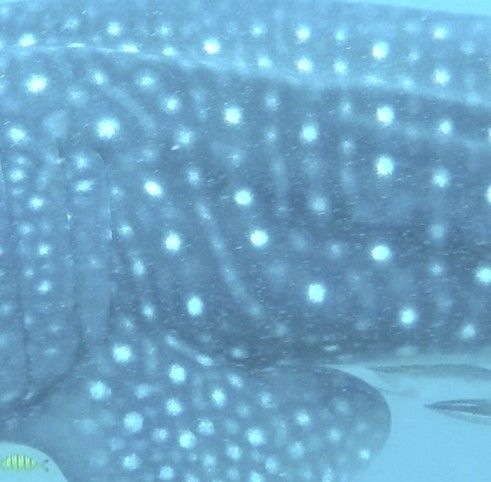 33a4ef57-746f-4b0b-8b87-152ca6f17873