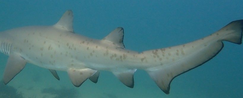 485e2cc0-5e79-43fb-9826-48d2b68c34ed