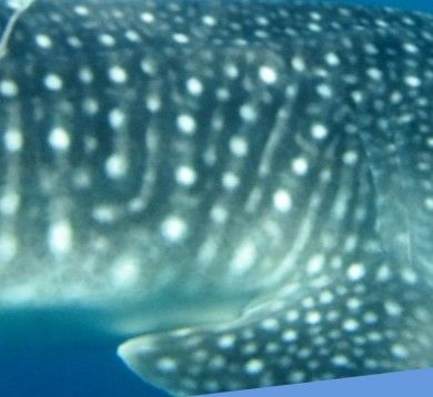 2369f1c5-a5be-4940-9baa-6ffcca7ca283