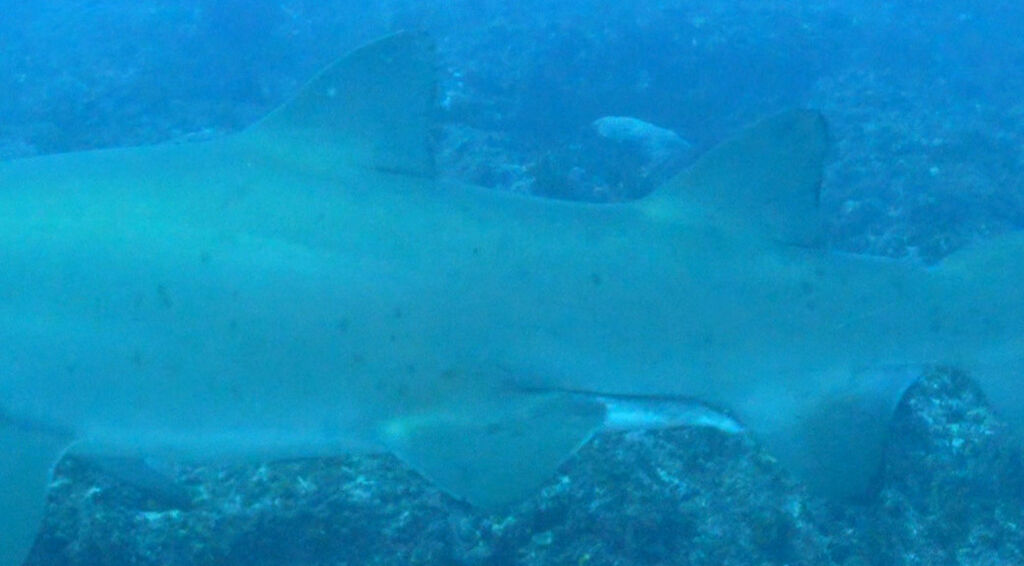 d66c393a-aea8-469b-8bac-8e1931467234