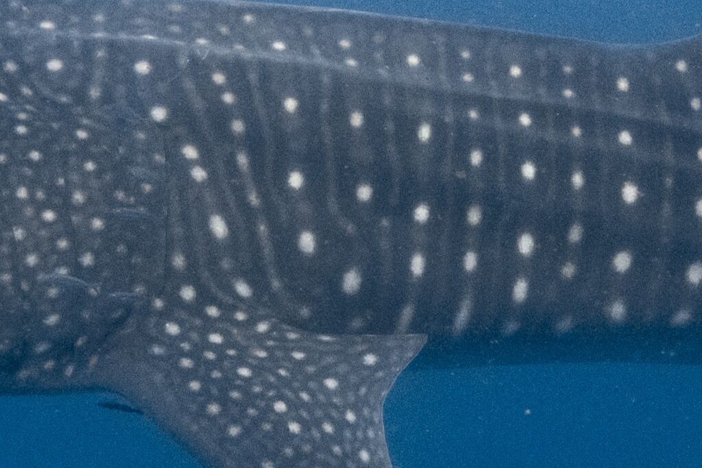 5fe03fe0-0ab5-44a3-95e9-ff3b9c1f1e62