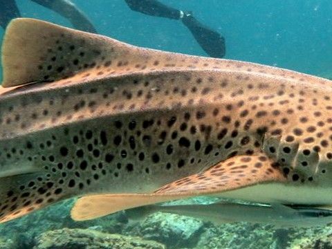 723024b9-fae2-4b3b-afdc-85f069cfcd8a