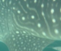 398cb742-3b6e-44f6-8bc5-613d918b3566