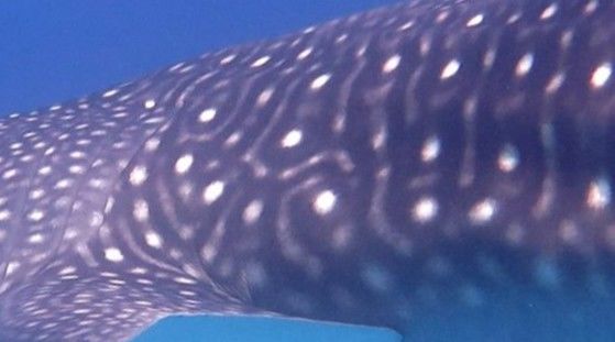 bc25f794-be4d-40c2-8b5c-b1751a088551