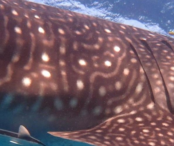 bc25f794-be4d-40c2-8b5c-b1751a088551