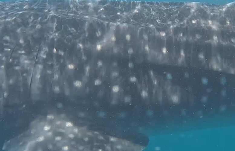 40c86d4a-531a-4b50-a6b8-674fafc340f1