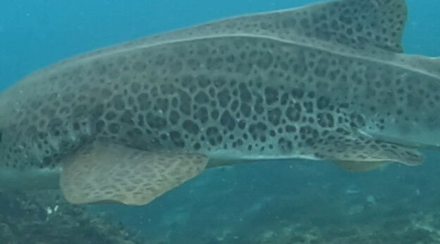 7b71f9dd-4711-4f19-91dc-4370a5770553