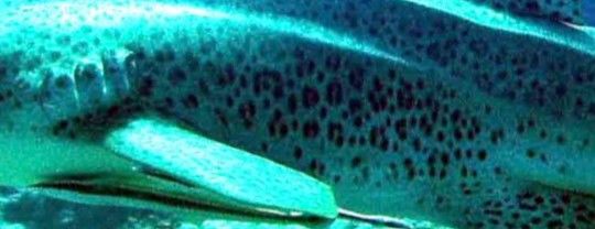 0dc85af1-c082-4b71-9b8e-d6870419f19d