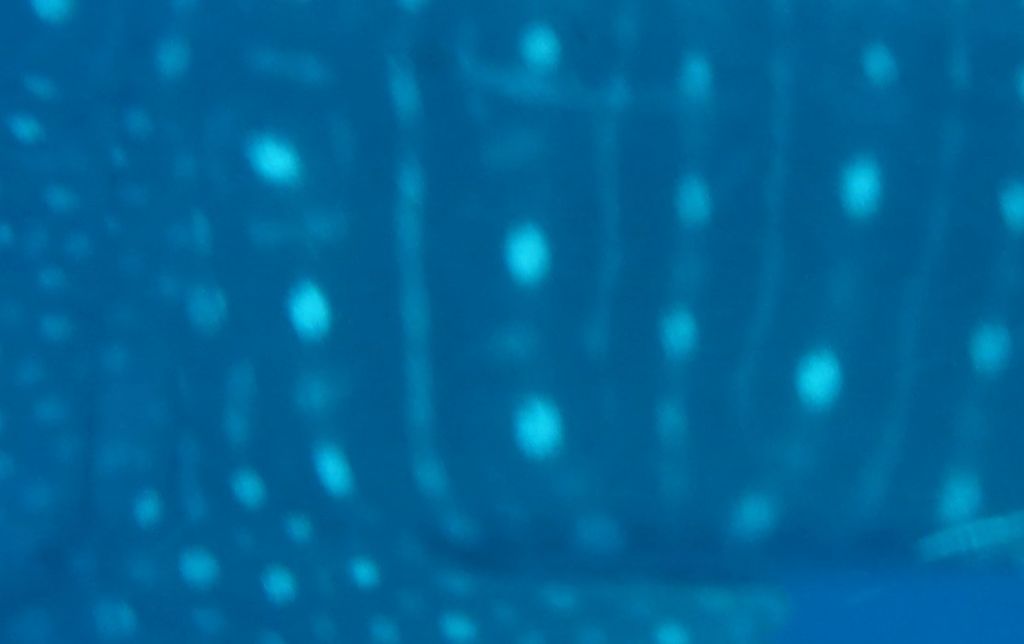 2ebc4712-cb37-4f6e-a713-3b609ce329d3