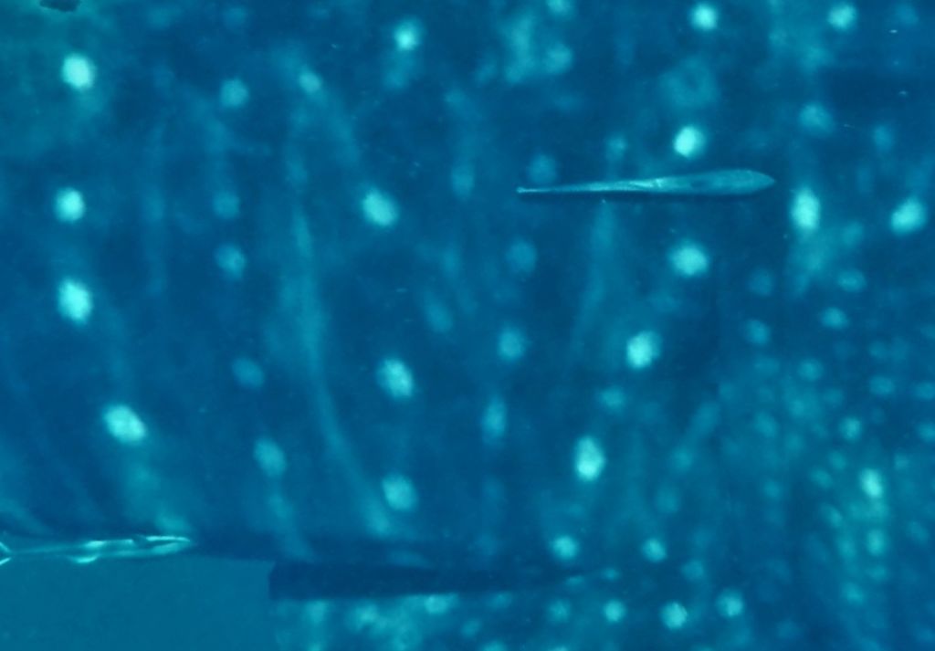 2ebc4712-cb37-4f6e-a713-3b609ce329d3