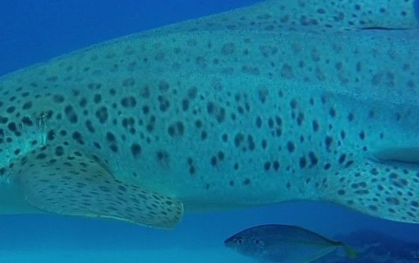 18aff22f-4c5d-42b4-8d87-b8911879a44f