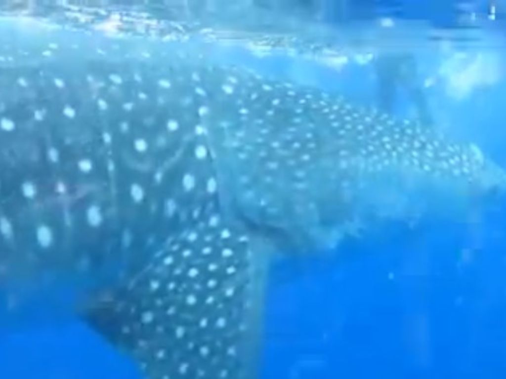 6ea9c002-2be3-4313-8474-ebe518d5817a