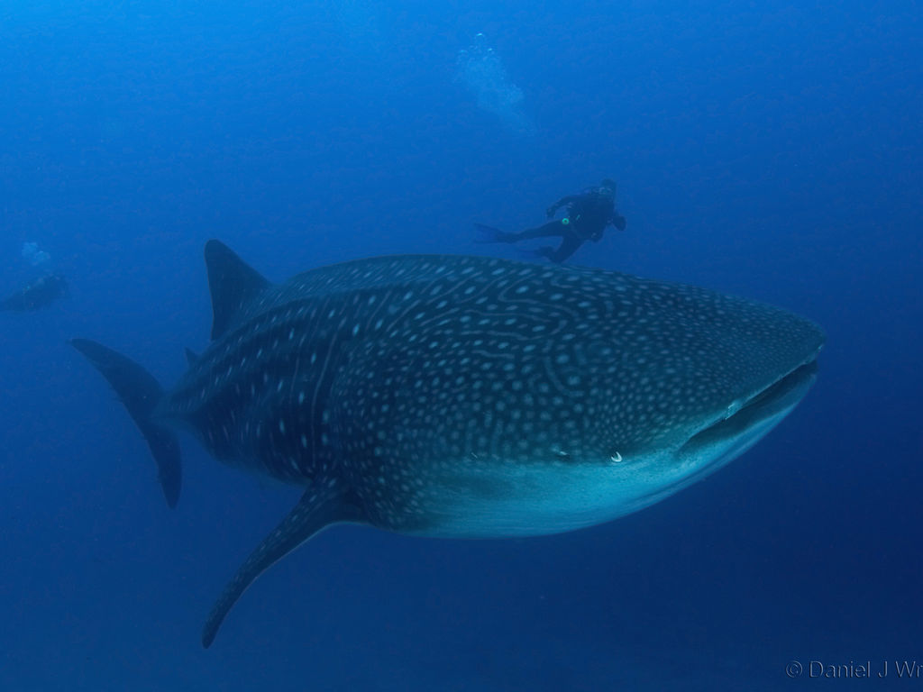 c552f297-5285-4f6b-87fa-3d7952973eac