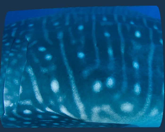 c552f297-5285-4f6b-87fa-3d7952973eac