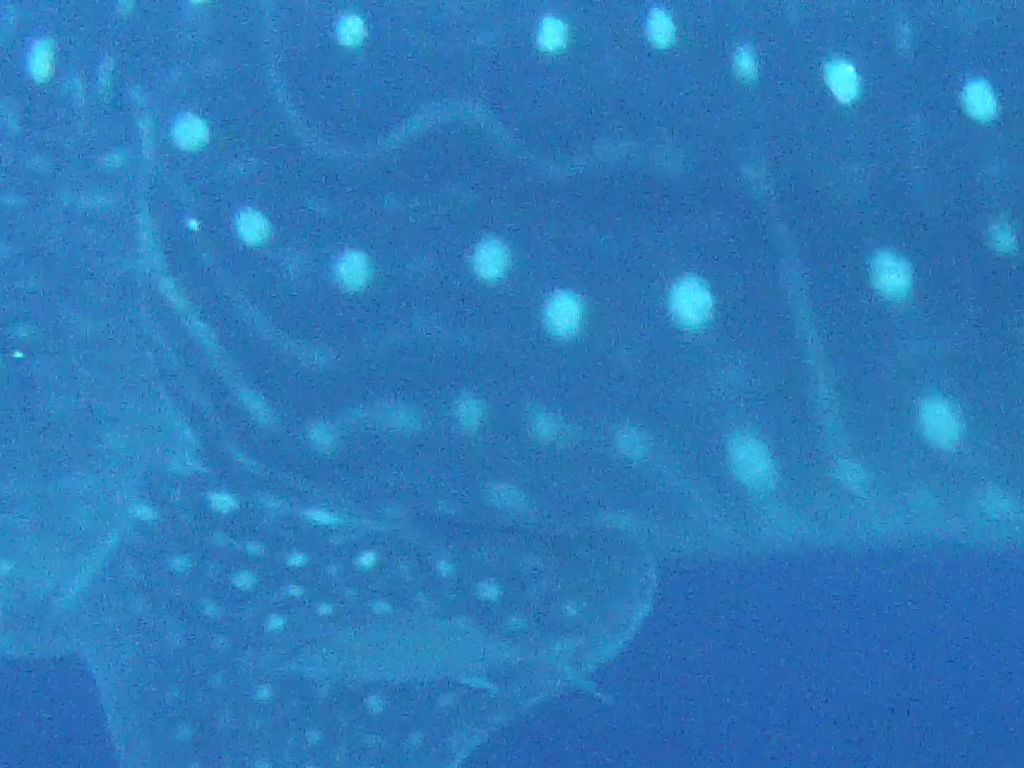 1b644117-24e5-4d63-9abf-459081af2cfb