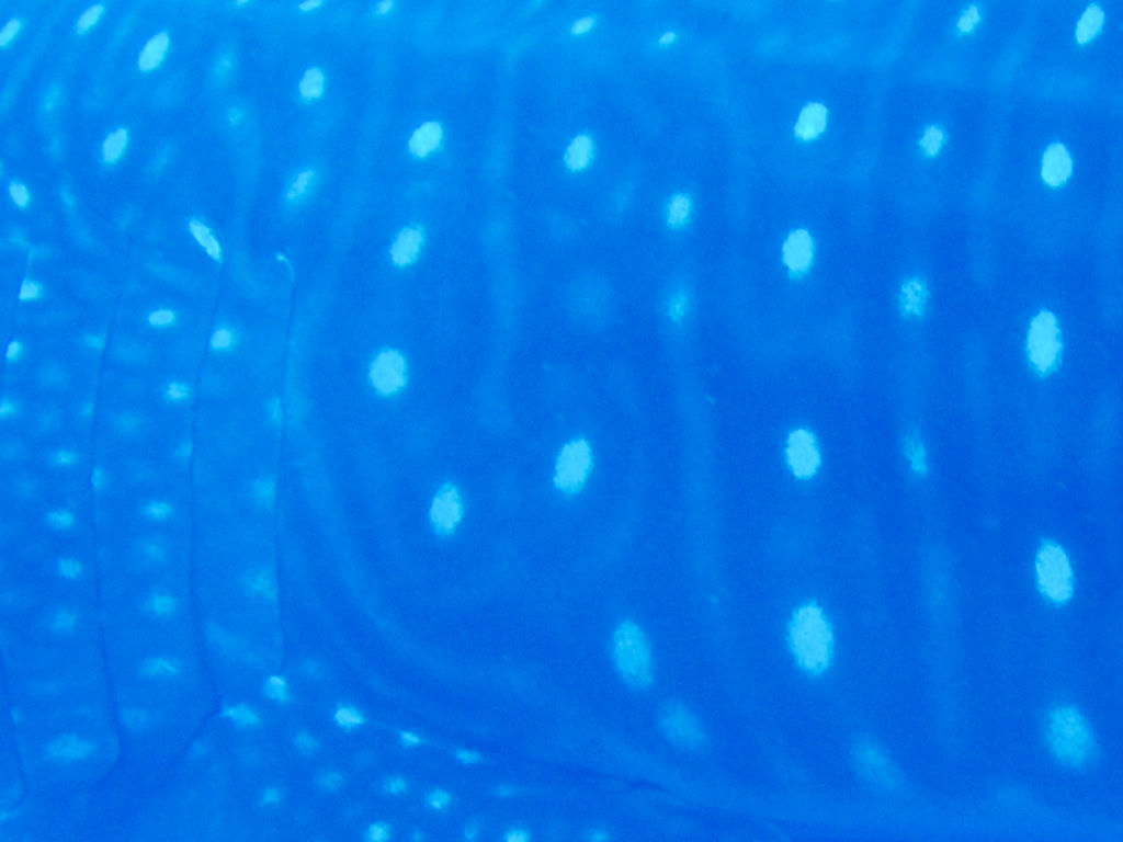 6b1f5c94-71d8-4eb0-b83a-ce2b2b5f1794