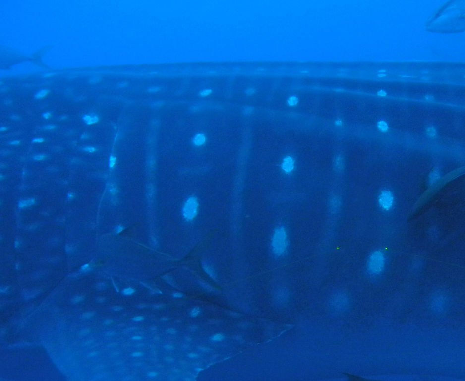 d5572f22-1639-4325-a59b-9cc1ba145d35