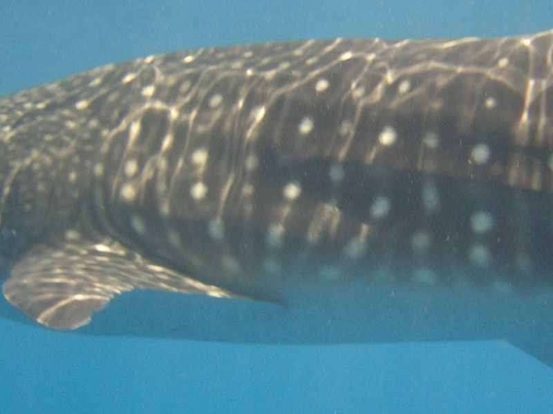 85922267-e081-4701-857b-c15e65e1d118