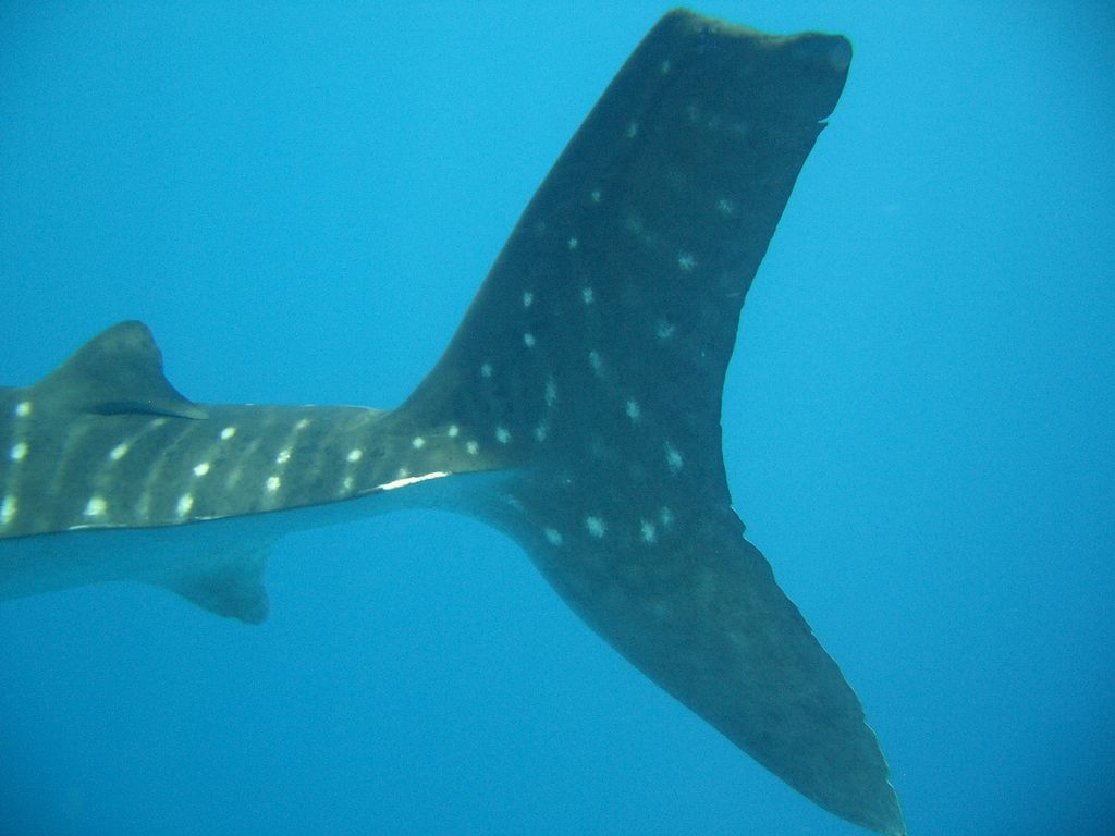 85922267-e081-4701-857b-c15e65e1d118