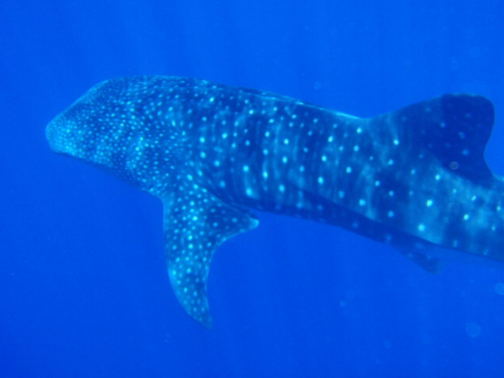 f9b366ba-41c3-4a24-bb02-97cd05957a19