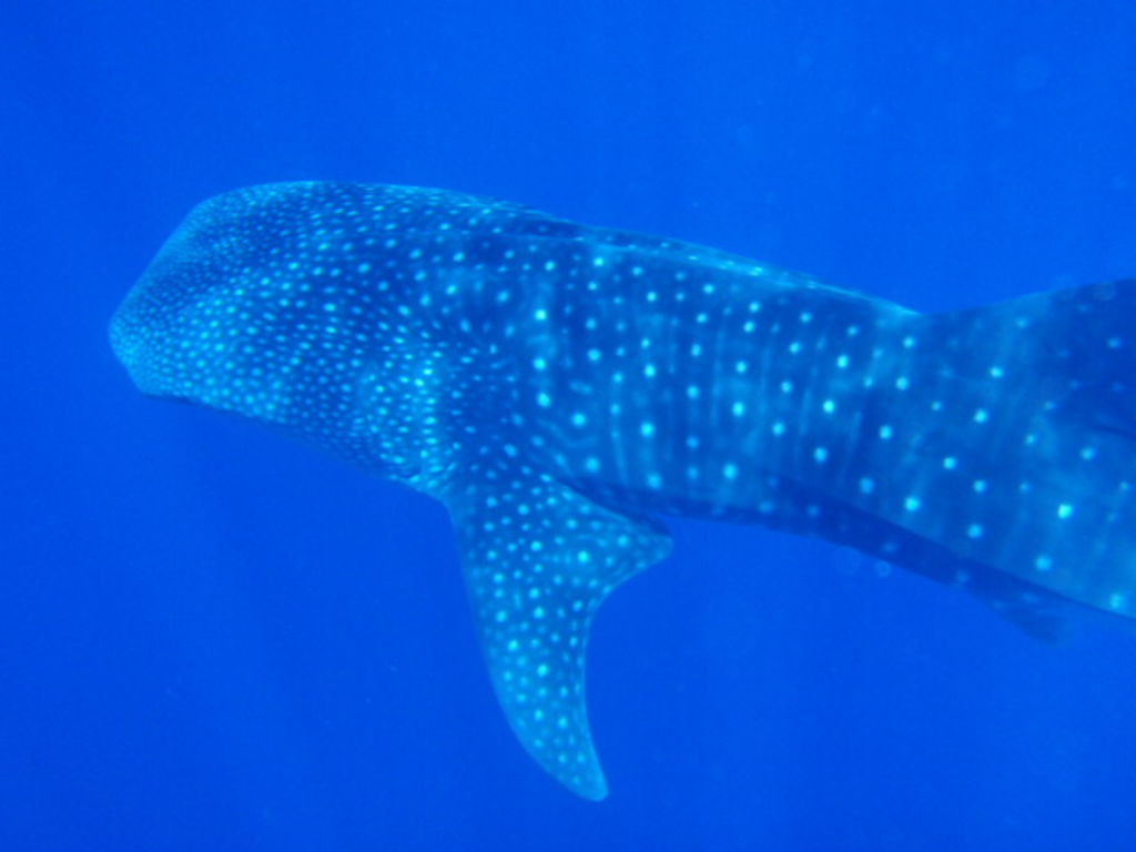 f9b366ba-41c3-4a24-bb02-97cd05957a19