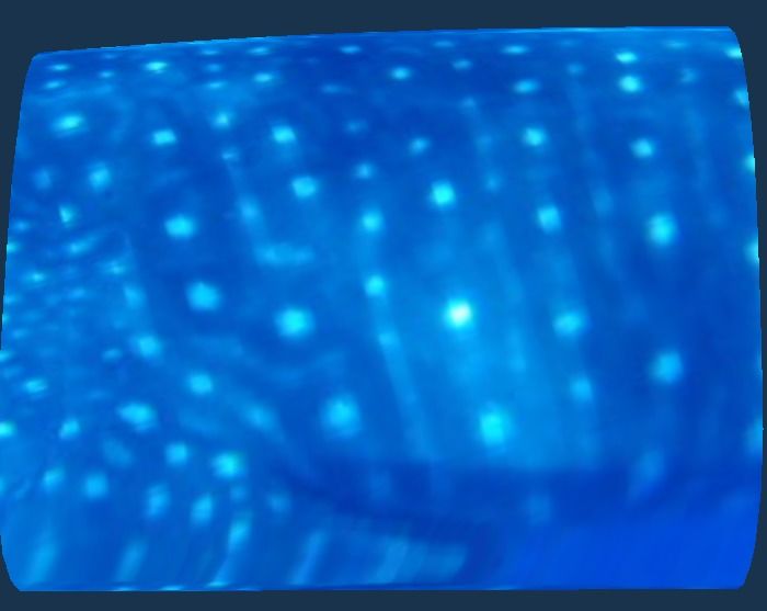 f9b366ba-41c3-4a24-bb02-97cd05957a19