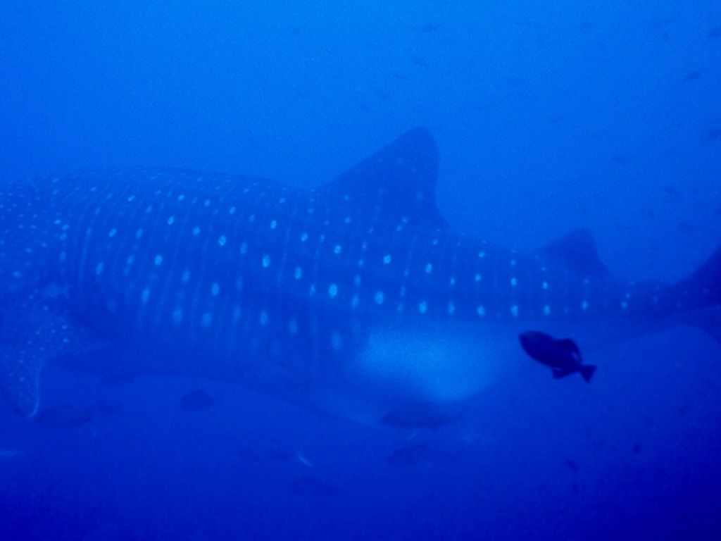 540965f3-ba8b-4248-9755-22f5bd4c5804