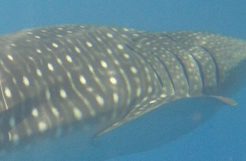 85922267-e081-4701-857b-c15e65e1d118