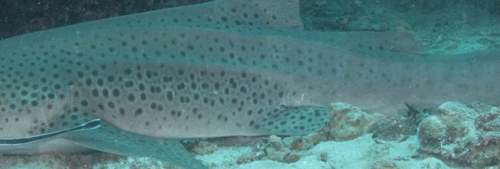 2b6bfee0-85a7-413b-bb78-6aea37af8d95