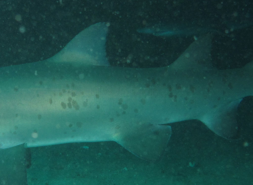 c1dcd73a-a8cd-495e-b5a2-40e0cbbc9307