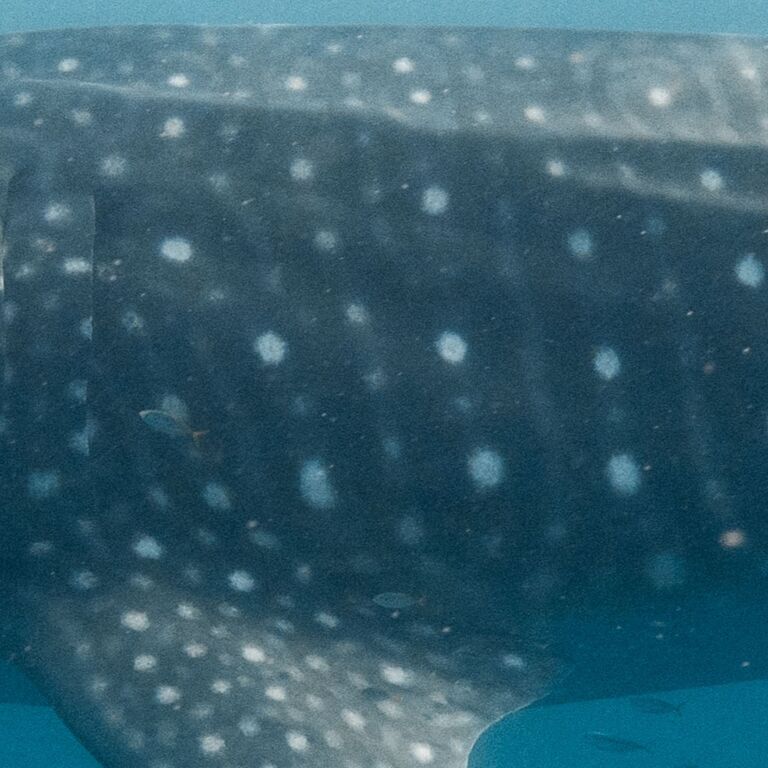 6d87c8d8-f02c-4e4a-aff5-3e94fecbea05