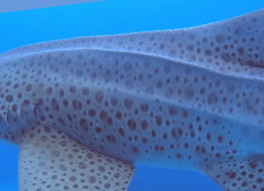 38dee2d7-04a5-4f21-8b64-5bad71dd5f37