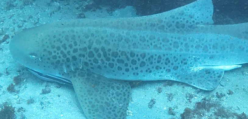 e965cda1-d920-4ea2-8b68-56265d047b6a